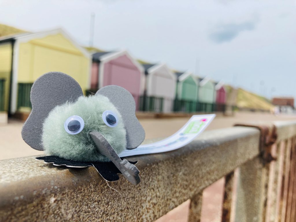 small elephant promotional 'bug' sat infront of gorleston beach huts