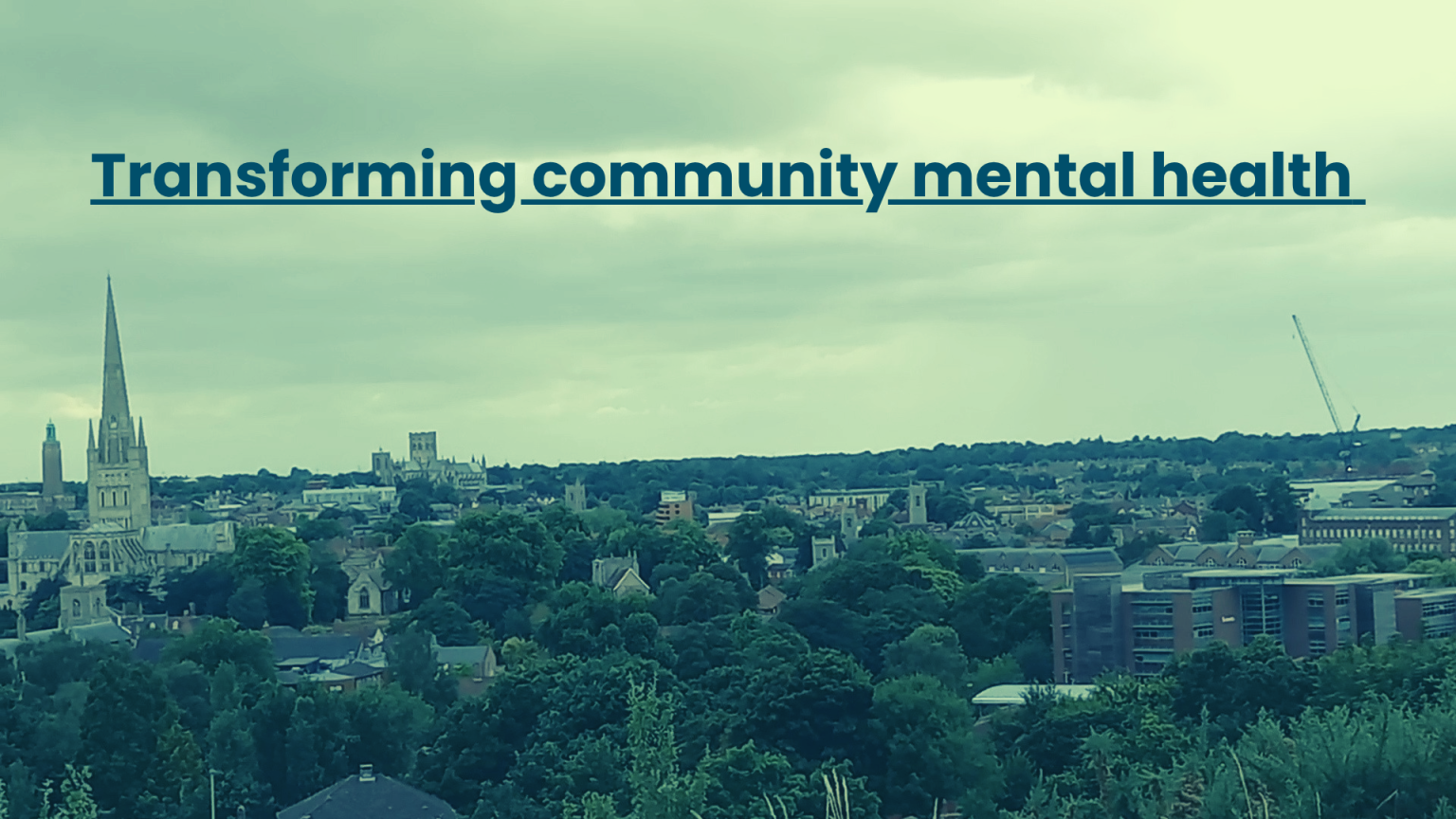 Community mental health services in Norfolk and Waveney - Year Three ...