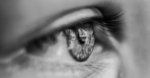 Sight loss survey web image