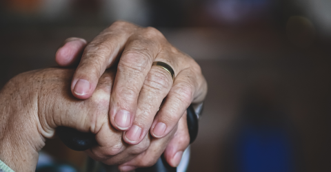 Untitled design - 2026-03-31T143458.791